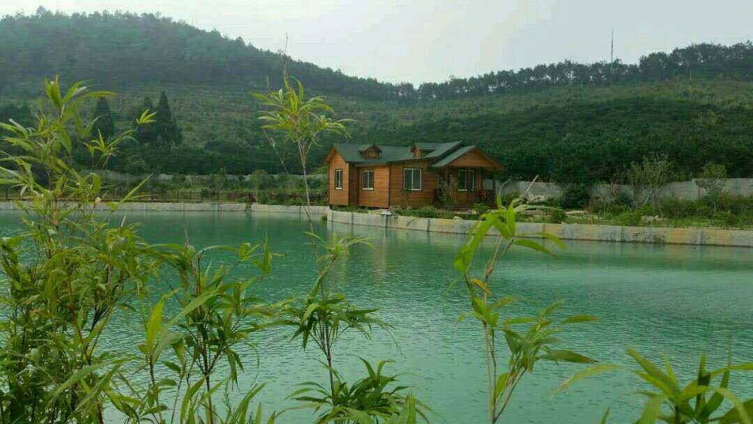 案例10